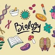 Biology exam 9/10/25