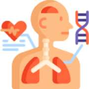 (2nd Year) Physiology