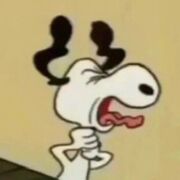 Fisio general-Manzano