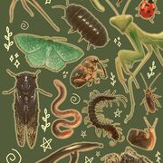 geography edexcel a level case studies