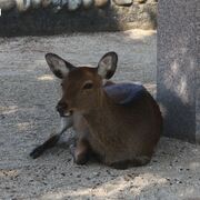 Relations between Greek States