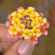 AeE 406 - Finite Element Analysis