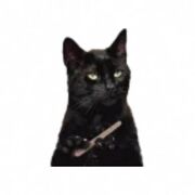 Wed 11.30 C2 Language Development