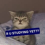 Englisch