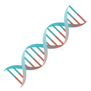Y1, S1 - Structure and Function 1