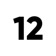 The Financial Sector (12)