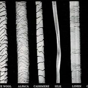 Forensics - Hair & Fiber