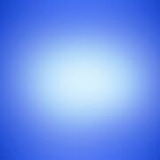 CHI1045 ( Jambe, cheville et pied )