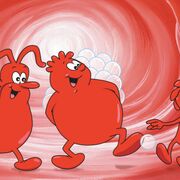 Immunologie