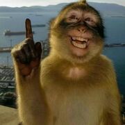 ANT102 Lectures, Pre-Midterm