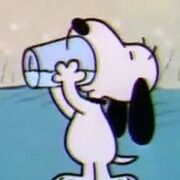 8th grade Penelope Level learning