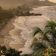 Einführung in die Forschungsmethoden