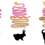 Y1, S1 - Structure and Function 2