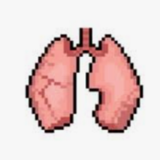 Paramedic Anatomy And Physiology