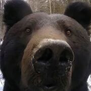 Physical Geography (Midterm)