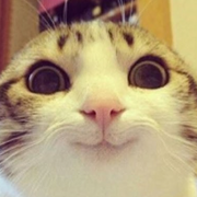 6th Grade Science Period 4