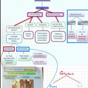 Bioquimica Final