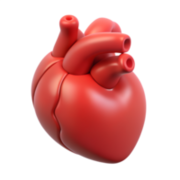Fisiopatología del sistema cardiovascular