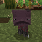 Te Reo, yr 10, exam prep