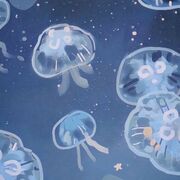 Environment, Ecology, Evolution