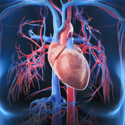 MMD 1109 - Cardiologie