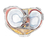 Puro TyO (fc para el final)