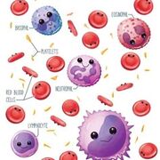 Hematología