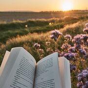 Lab de Micro - Dr. Dena