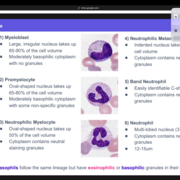 Physi-yes-or-no-logy