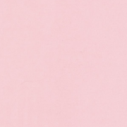 english literature streetcar