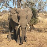 Anatomy And Physiology