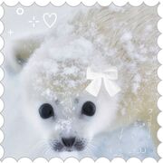 *ੈ✩‧₊˚༺ unit 4 ༻*ੈ✩‧₊˚