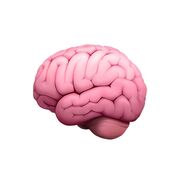 🧠Psychology (Research methods) Paper 2 Y1