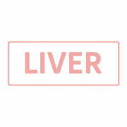 Liver - Y1B1