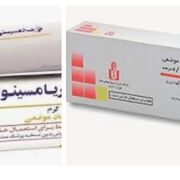 کارآموزی شهری