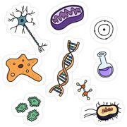 LIFE SCIENCES 💙💚