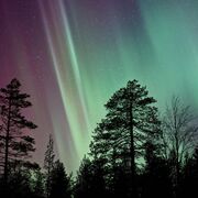 Scientific Basis for Chiropractic