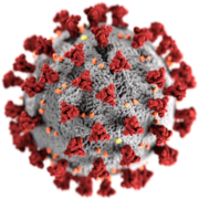 MIR Infecciosas y Microbiología