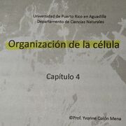 Capitulo 4 Biol