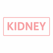 Kidney - Y1B1
