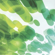 Inter Macroeconomics