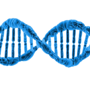 Biochimie Structurale