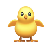 1C: Urology Conditions