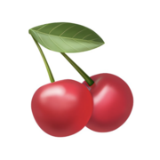 1C: Breast Conditions