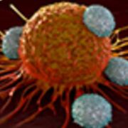 Ageing and Degeneration