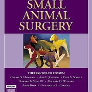 Προφορικές Εξετάσεις Χειρουργικής Ζώων Συντροφιάς