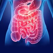 Hépato-gastro-Entérologie