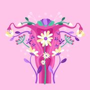 Ciclo Básico - Sistema Reprodutor