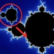 1A. Charlotte’s FM (Y1)