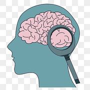 AP psych - flashcards